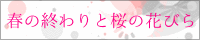 春の終わりと桜の花びら